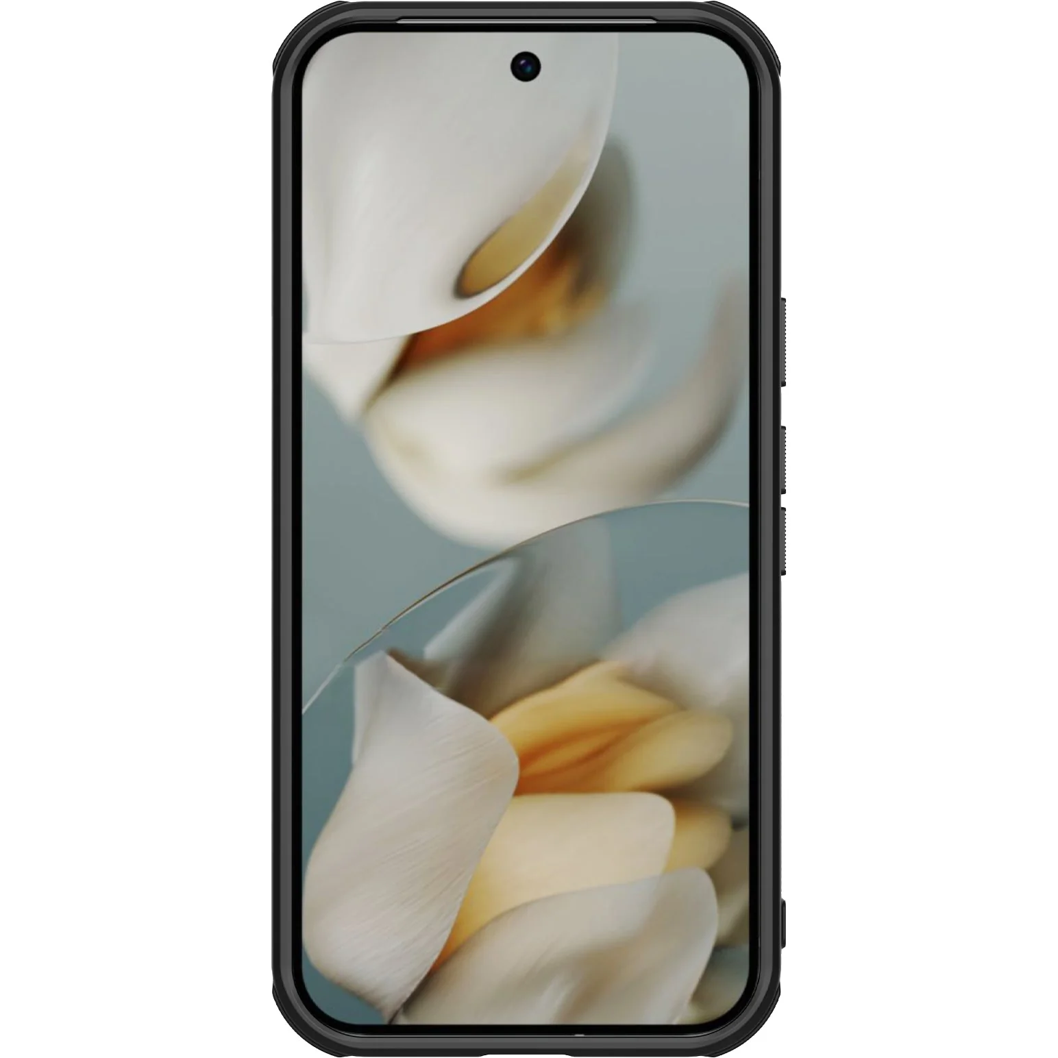 Handyhülle für Google Pixel 10 Pro / Pixel 10, Nillkin Frosted Shield Pro, Schwarz - Image 15