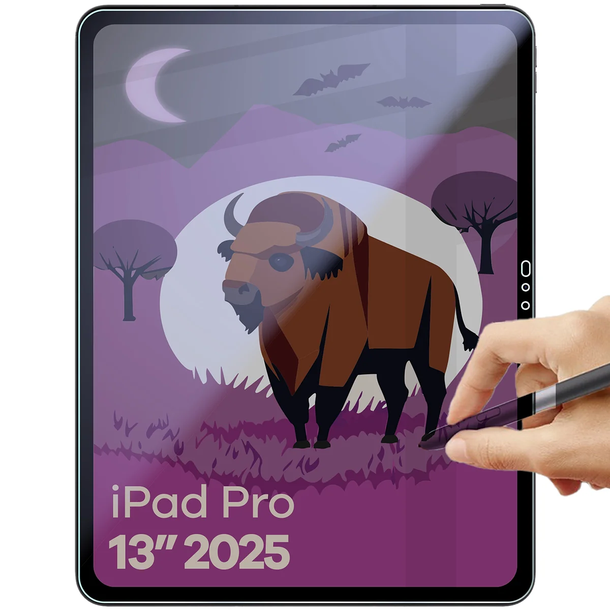 Hybridglas mit Privatschutzfilter für iPad Pro 13" M5 2025, Bizon Glass Tab Mule Shadow, Matt