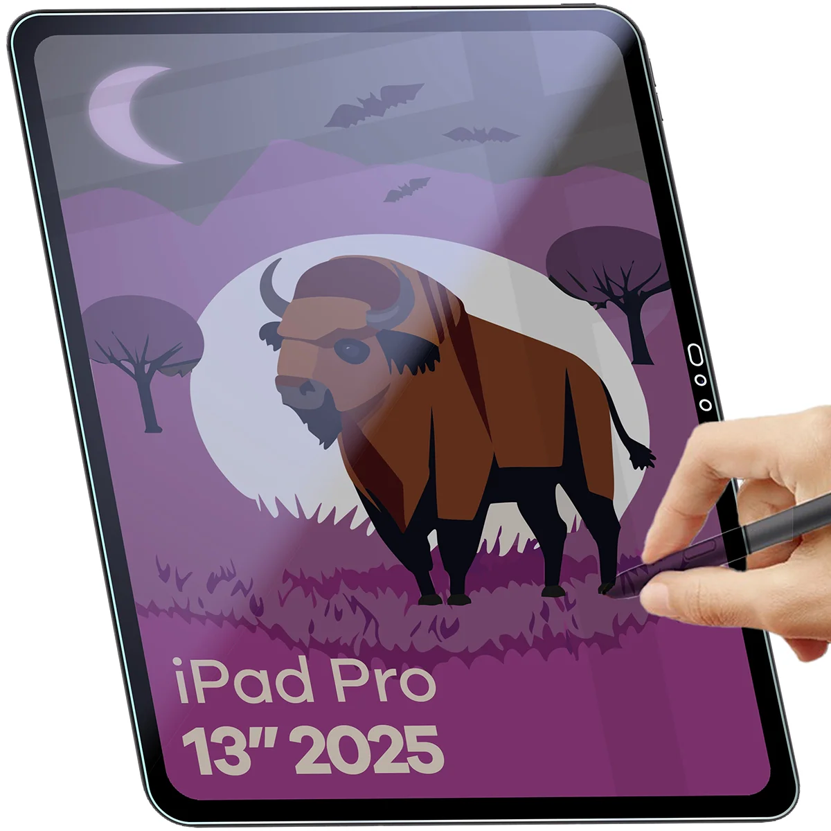 Hybridglas mit Privatschutzfilter für iPad Pro 13" M5 2025, Bizon Glass Tab Mule Shadow, Matt - Image 5