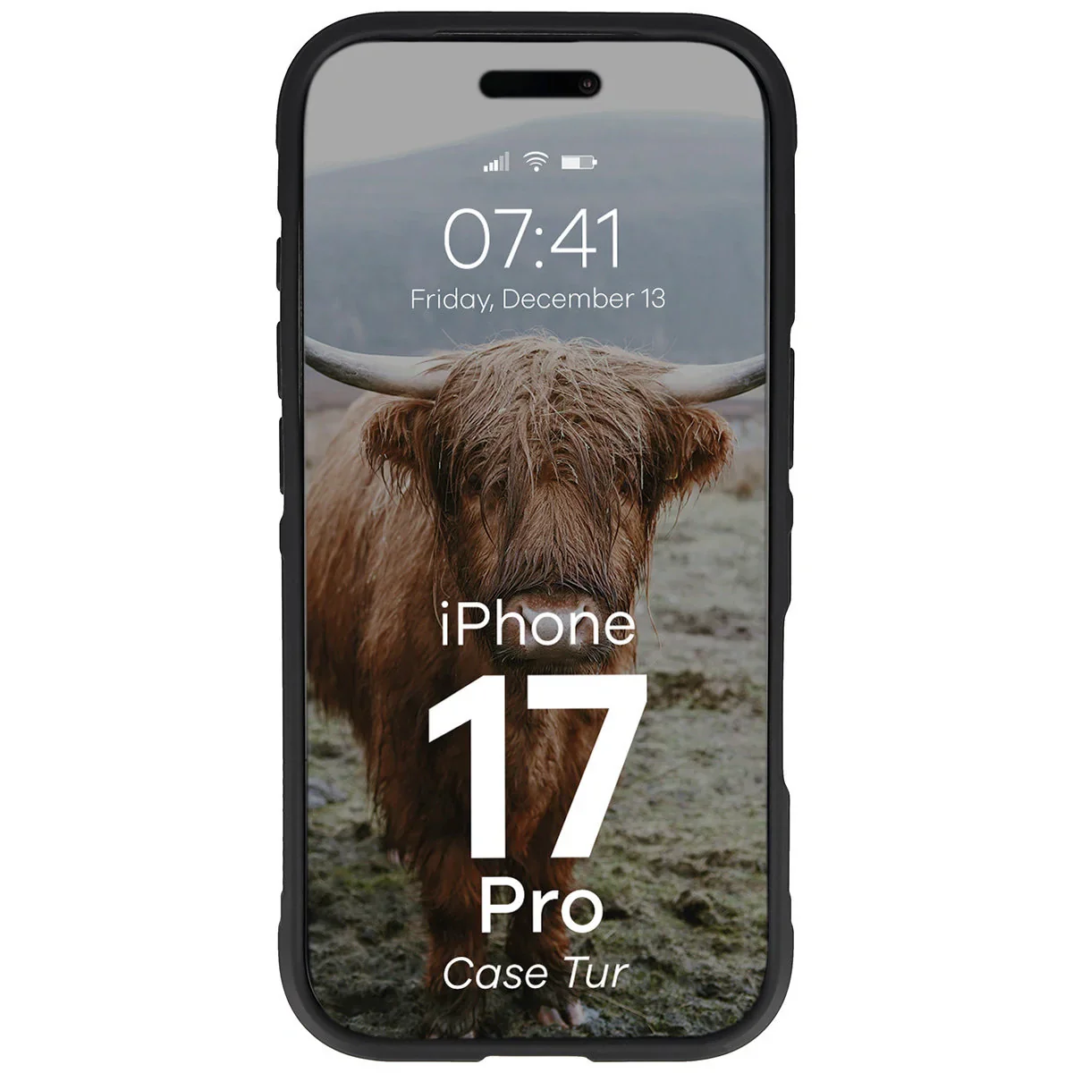 Robuste Handyhülle für iPhone 17 Pro, Bizon Case Tur, Schwarz - Image 5