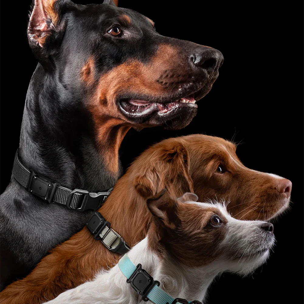 Wasserdichte Hülle IP68 für Apple AirTag, Spigen Tough Armor Pet Collar, Schwarz - Image 10
